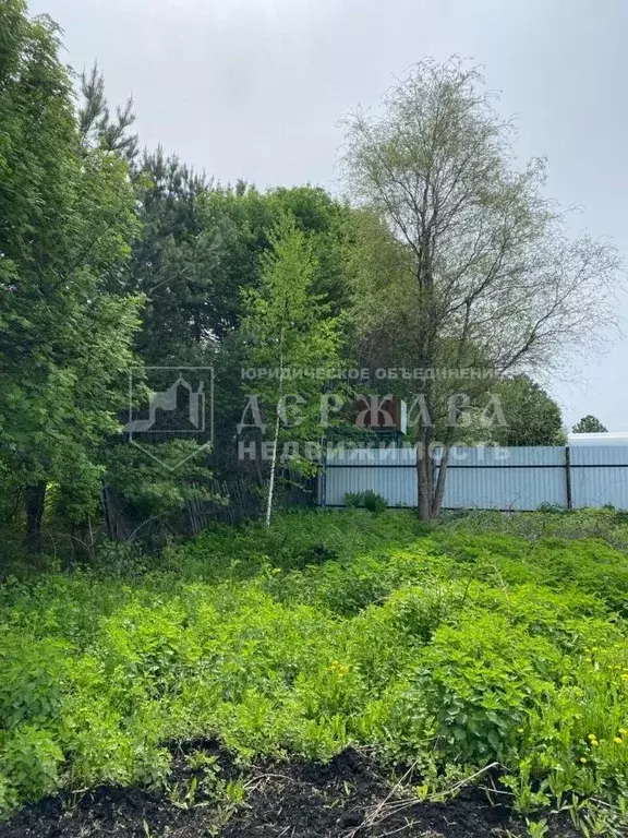 Участок в Кемеровская область, Кемеровский муниципальный округ, д. ... - Фото 2