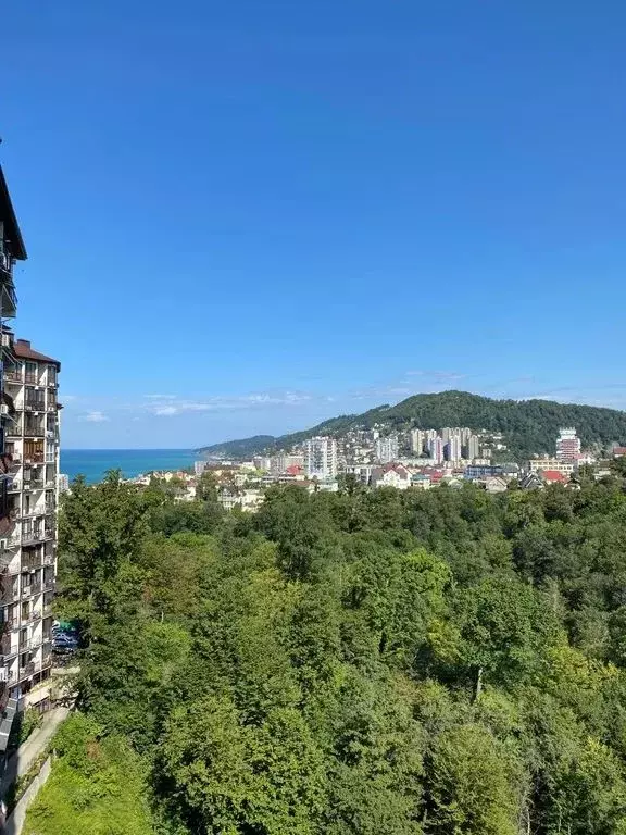 Студия Краснодарский край, Сочи Новый Сочи мкр, ул. Санаторная, 46 ... - Фото 0