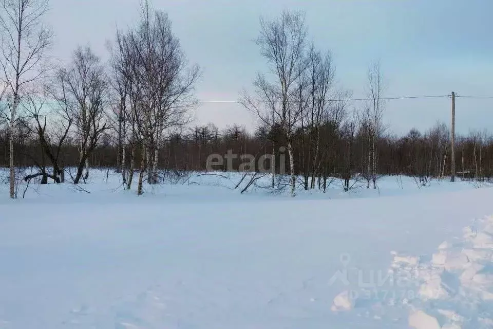 Участок в Амурская область, Благовещенский район, Фактор СТ  (13.1 ... - Фото 0