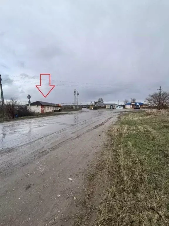 Помещение свободного назначения в Самарская область, Сызранский район, ... - Фото 2