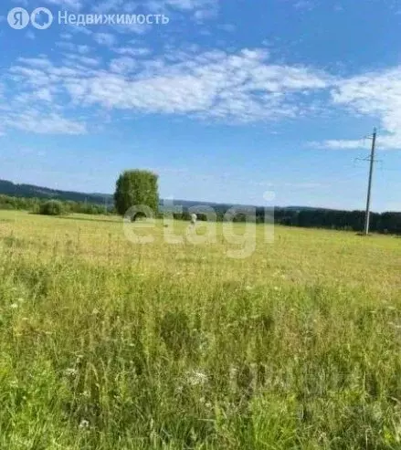Участок в Пермский муниципальный округ, деревня Качка (33 м) - Фото 1
