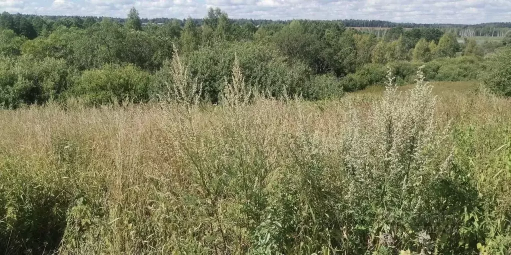 Участок в Московская область, Истра  (14.52 сот.) - Фото 2