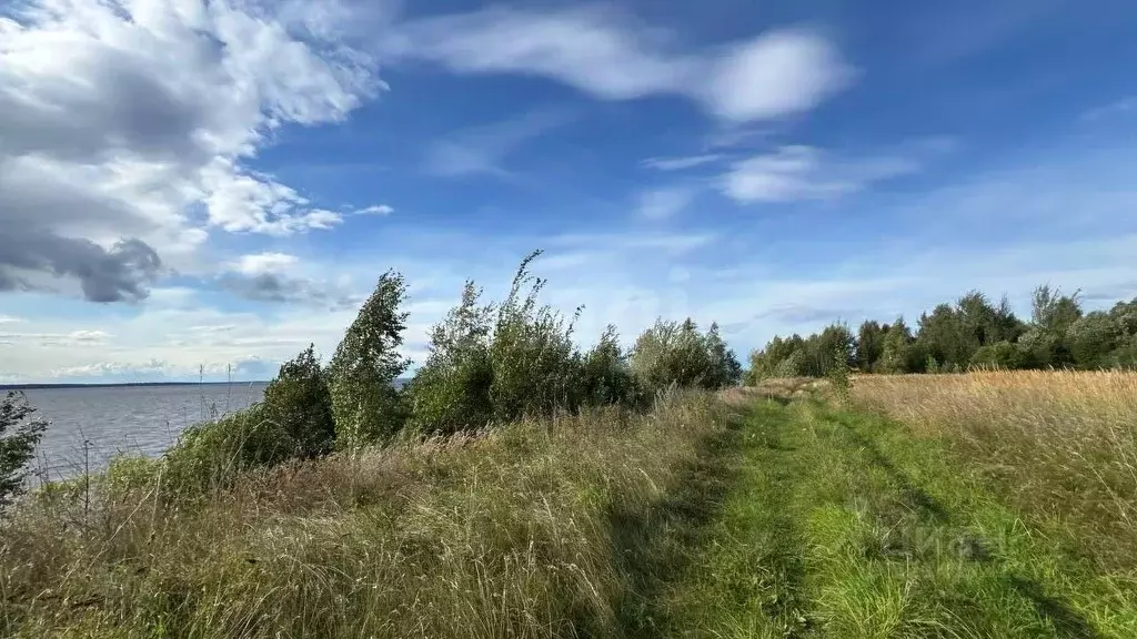 Участок в Нижегородская область, Сокольский муниципальный округ, ... - Фото 1