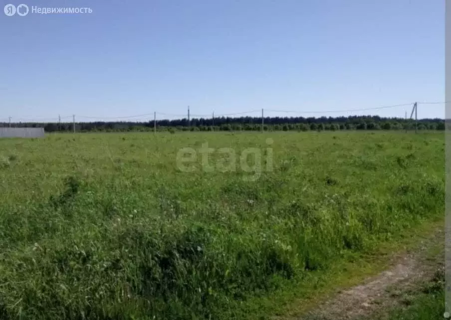 Участок в Марьяновский район, деревня Старая Шараповка, Снежная улица ... - Фото 1