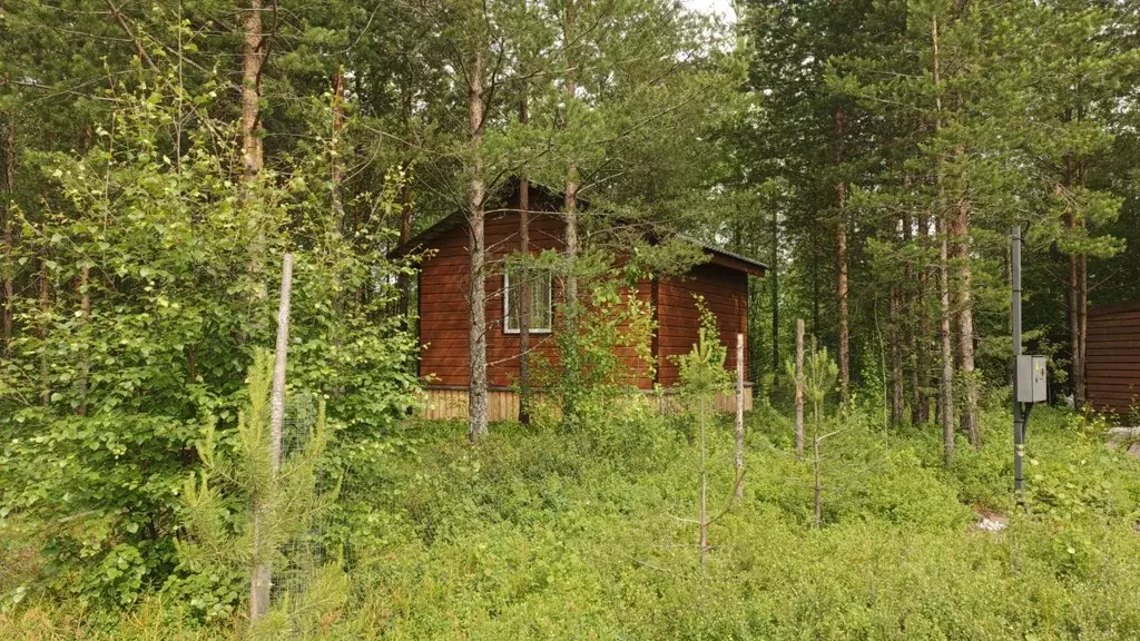 Дом в Архангельская область, Приморский муниципальный округ, д. ... - Фото 2