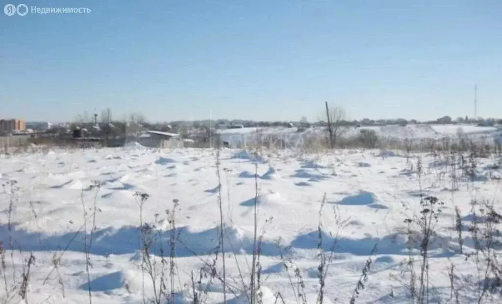 Участок в Рузский городской округ, деревня Берёзкино (9 м) - Фото 0