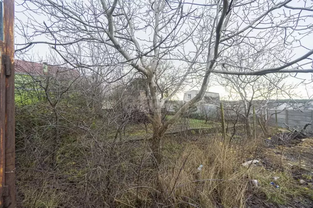 Участок в Севастополь Металлист садовое товарищество, 232 (4.39 сот.) - Фото 2