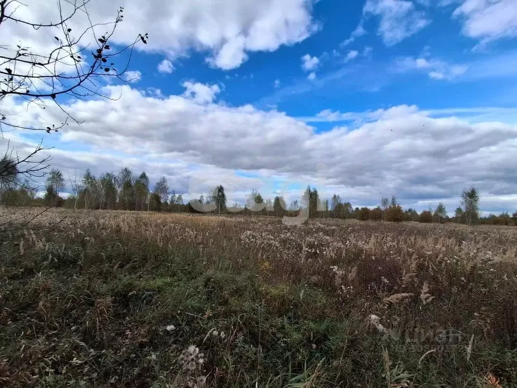 Участок в Костромская область, Кострома пос. Волжский,  (445.0 сот.) - Фото 0