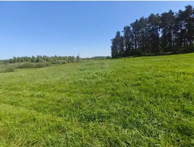 Участок в Московская область, Рузский муниципальный округ, д. Орешки  ... - Фото 2