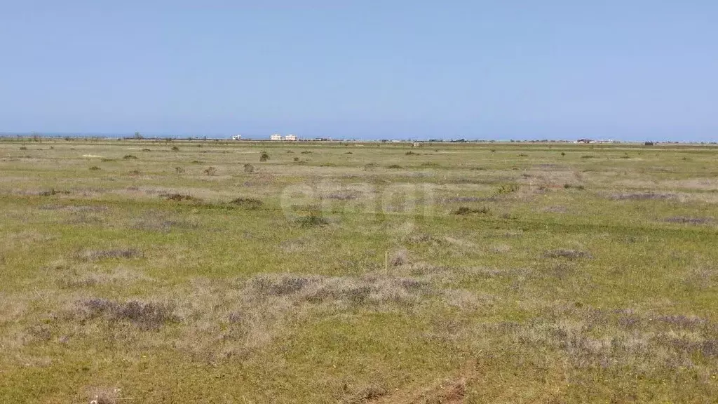 Участок в Крым, Ленинский район, с. Калиновка ул. Абденановой (6.0 ... - Фото 1