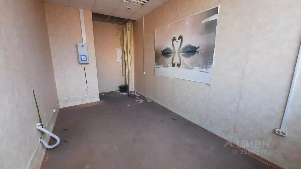 Помещение свободного назначения в Тульская область, Тула ул. ... - Фото 1