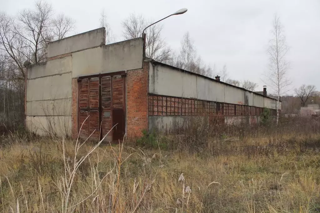 Производственное помещение в Московская область, Кашира ул. ... - Фото 1