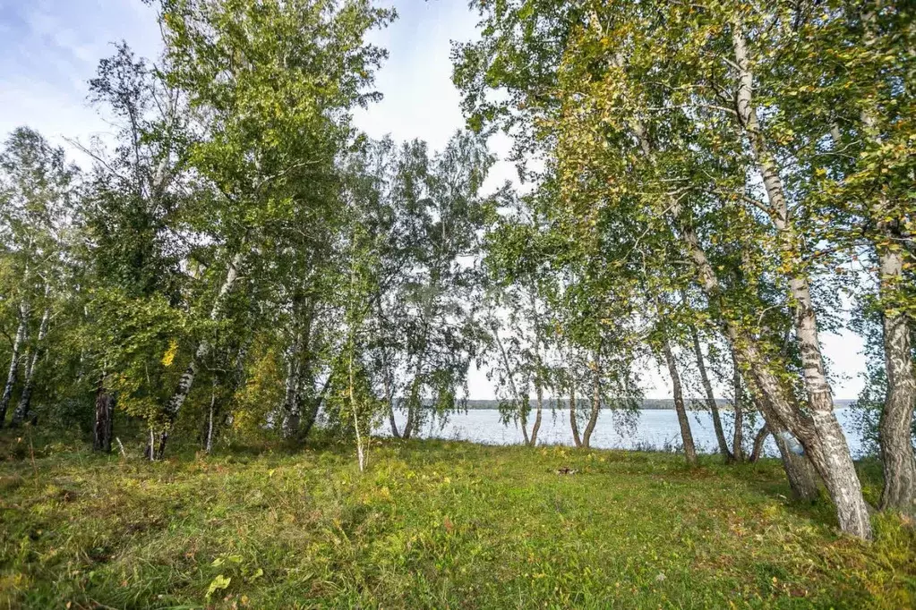 Участок в Новосибирская область, Искитимский район, Мичуринский ... - Фото 1