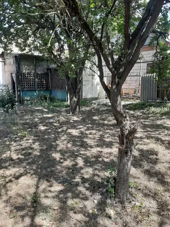 Дом в Ростовская область, Батайск Труд ДНТ,  (55 м) - Фото 1