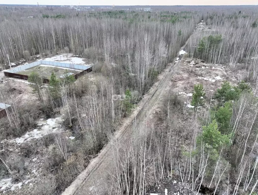 Участок в Московская область, Богородский городской округ, Ясень СНТ ... - Фото 1
