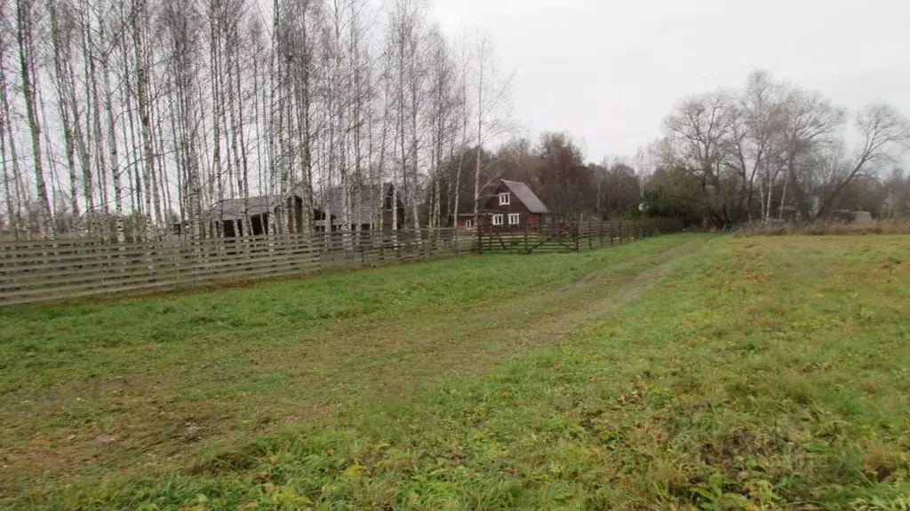 Участок в Московская область, Коломна городской округ, д. Туменское  ... - Фото 2