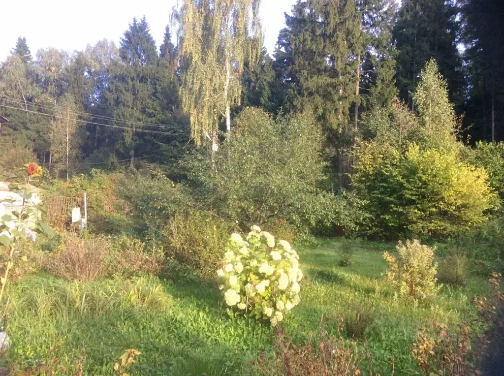 Участок в Московская область, Ступино городской округ, Северка-90 СНТ  ... - Фото 0