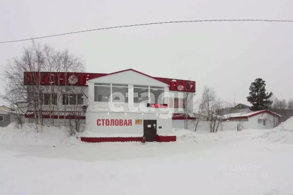 Торговая площадь в Ямало-Ненецкий АО, Надым 1-й проезд, 8 (673 м) - Фото 0