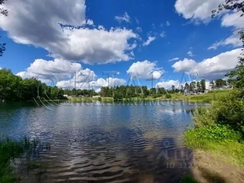 Участок в Ленинградская область, Всеволожский район, Куйвозовское ... - Фото 0