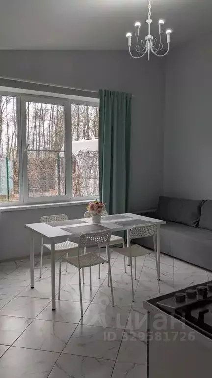 Дом в Нижегородская область, Нижний Новгород Большая Окружная ул., 29 ... - Фото 2