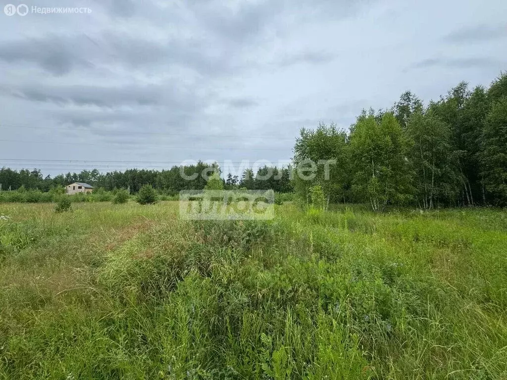 Участок в Богородский городской округ, КП Новое Борилово (12.7 м) - Фото 1