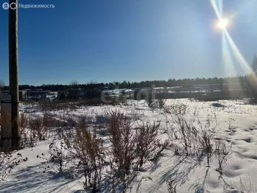 Участок в Свердловская область, муниципальный округ Нижний Тагил, ... - Фото 2