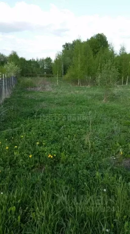 Участок в Смоленская область, Смоленск ш. Рославльское (13.5 сот.) - Фото 2