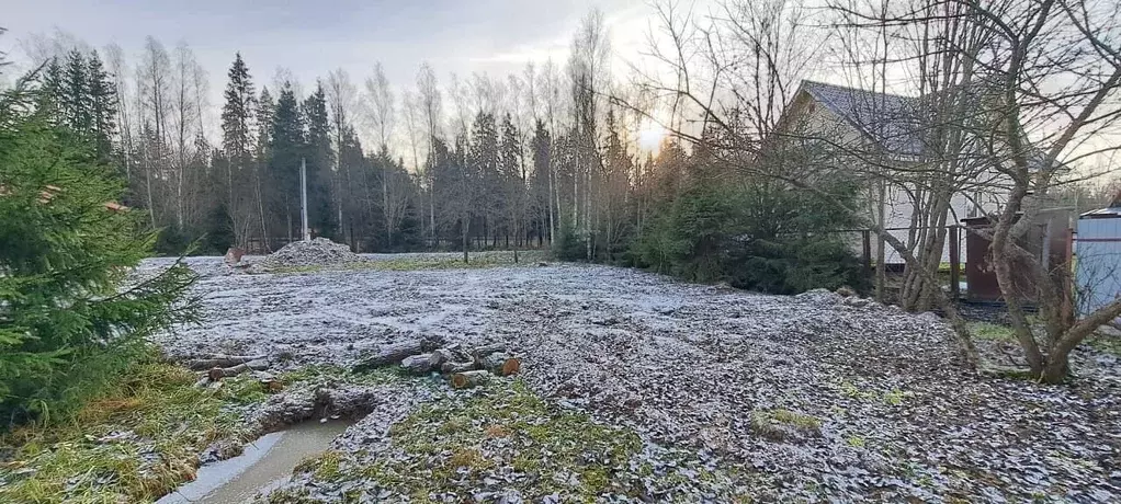 Участок в Московская область, Истра муниципальный округ, д. Сокольники ... - Фото 1