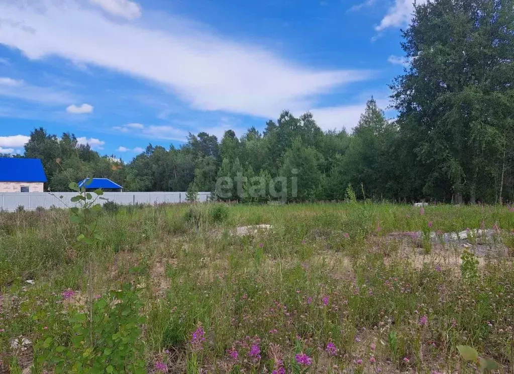 Участок в Ханты-Мансийский АО, Когалым ул. Автомобилистов (9.0 сот.) - Фото 1