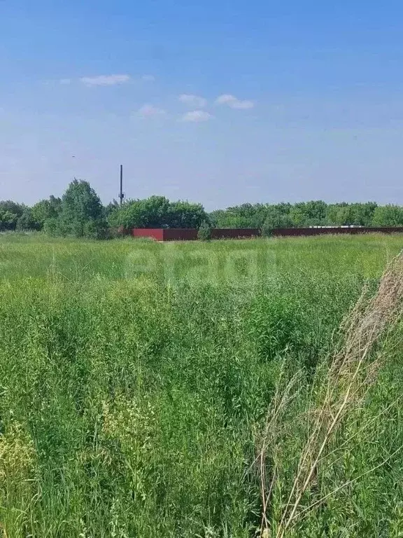 Участок в Алтайский край, Бийский район, пос. Семеновод Школьная ул. ... - Фото 1