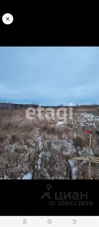 участок в красноярский край, емельяновский район, шуваевский . - Фото 1