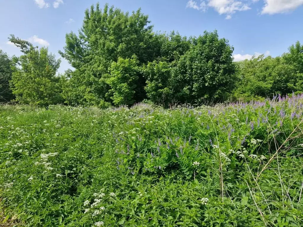 Участок в Московская область, Ступино городской округ, с. Березнецово  ... - Фото 2
