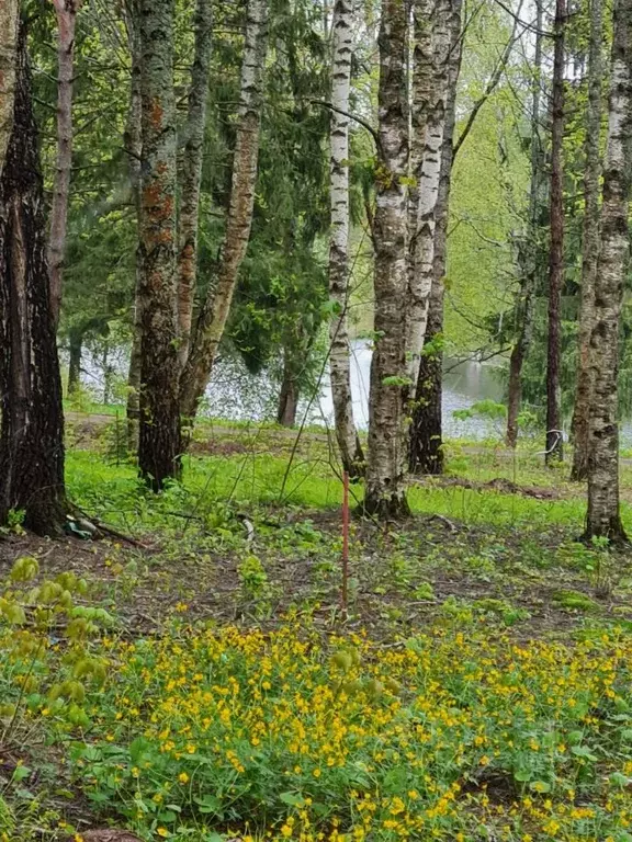 Участок в Московская область, Наро-Фоминский городской округ, пос. ... - Фото 0