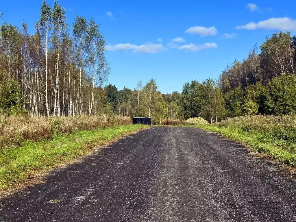Участок в Московская область, Дмитровский муниципальный округ, Сбоево ... - Фото 2