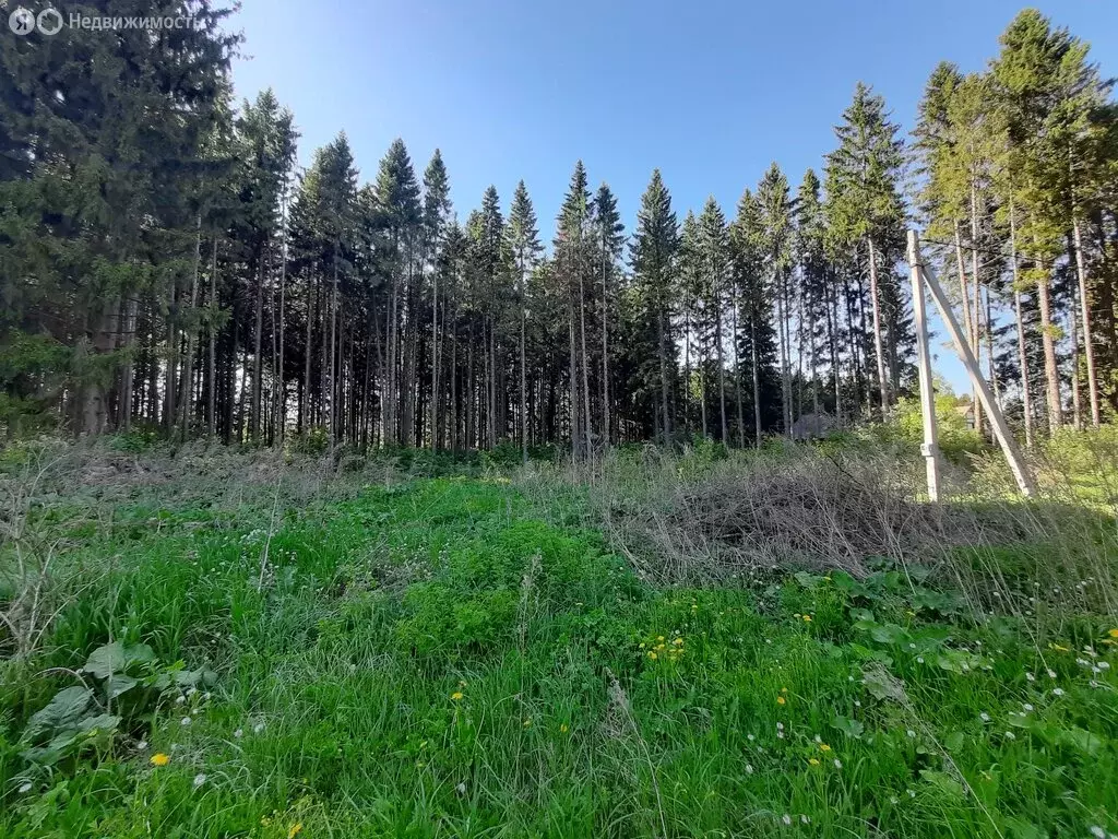 Участок в Нытва, улица Кирпичного завода, 35 (11.46 м) - Фото 0