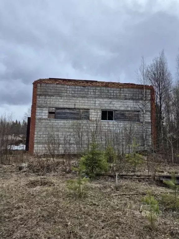 Помещение свободного назначения в Коми, Сыктывкар 3-я Промышленная ... - Фото 1