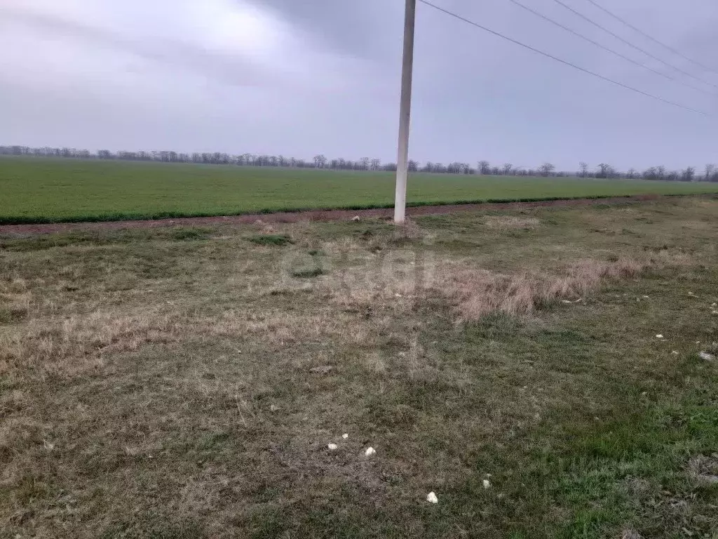 Участок в Крым, Феодосия муниципальный округ, Приморский пгт ул. ... - Фото 0