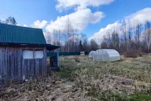 Дом в Новгородская область, Новгородский муниципальный район, ... - Фото 1