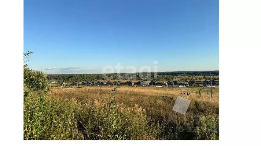 Участок в Ярославская область, Ярославский муниципальный округ, ... - Фото 1