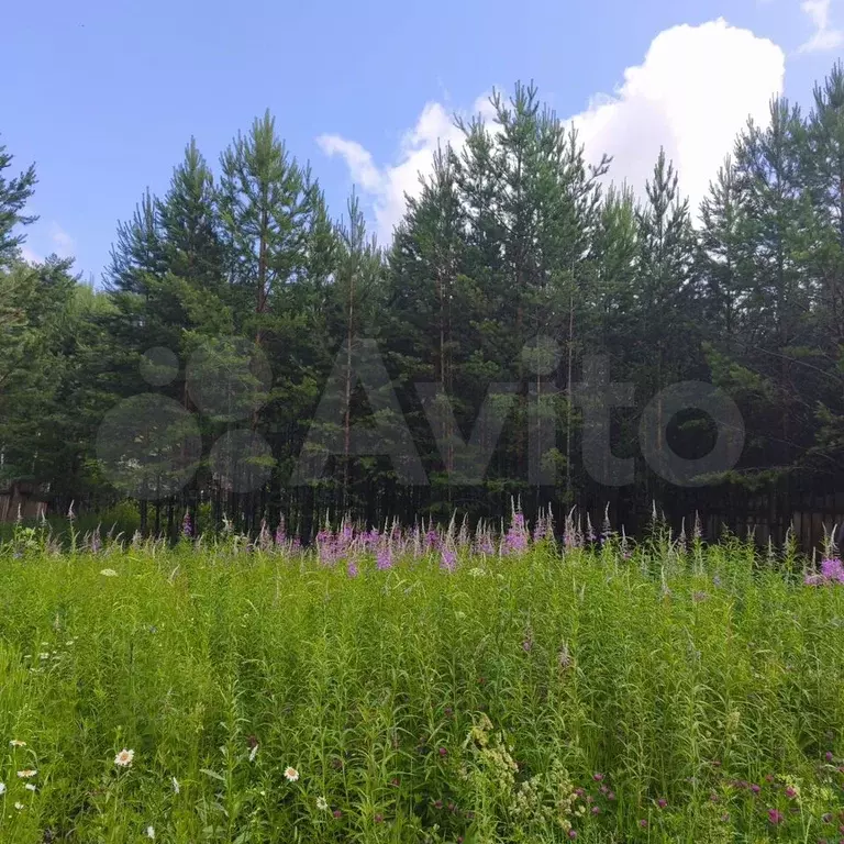 Участок 8 сот. (СНТ, ДНП) - Фото 1