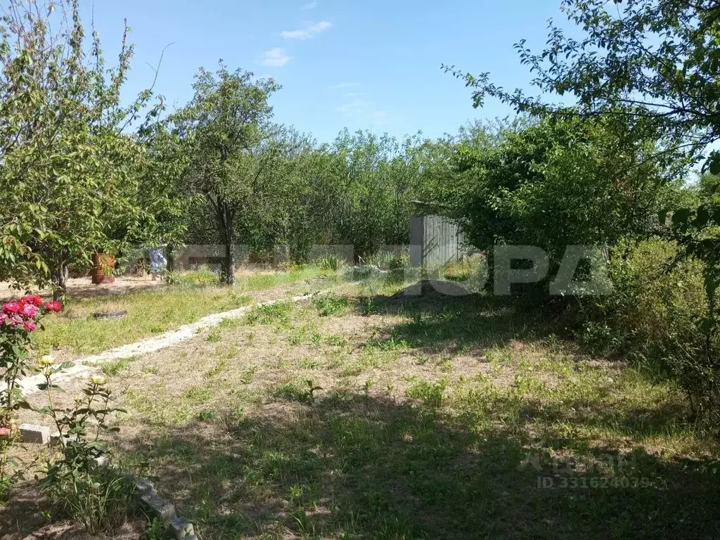 Участок в Ростовская область, Азовский район, Новоалександровское ... - Фото 2