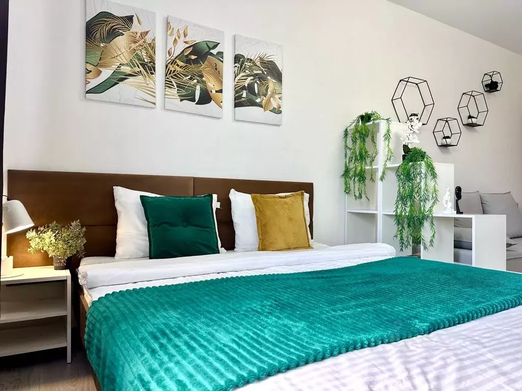 Студия Краснодарский край, Сочи ул. Ленина, 298Бк7 (30.0 м) - Фото 1