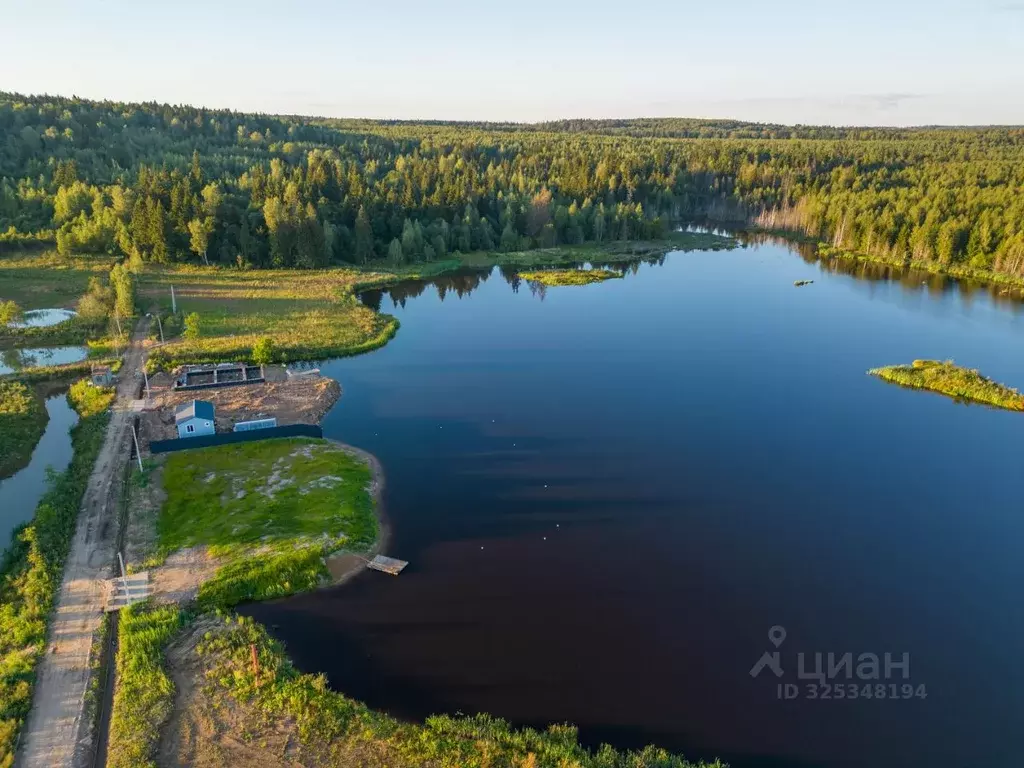Участок в Московская область, Рузский муниципальный округ, д. ... - Фото 1