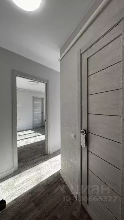 2-к кв. Саратовская область, Саратов проезд 1-й Тульский, 4а (40.0 м) - Фото 2