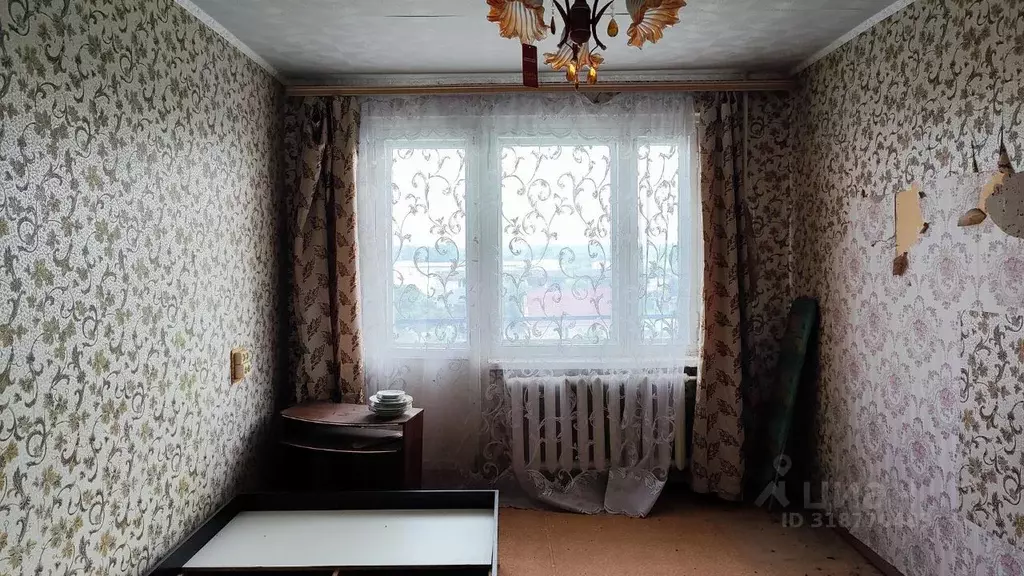 1-к кв. Владимирская область, Судогодский район, пос. Андреево ... - Фото 0