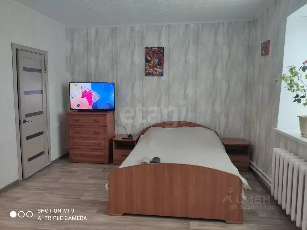 Студия Амурская область, Белогорск ул. Мелькомбинат, 23 (325.5 м) - Фото 2