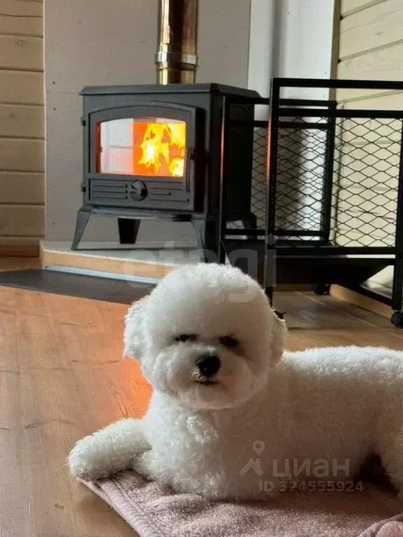 Дом в Томская область, Томский район, Богашевское с/пос, Ветеран ... - Фото 1