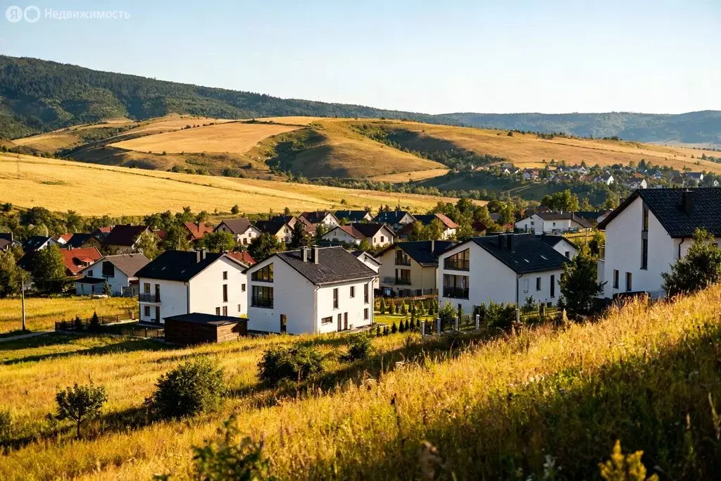 Участок в Краснодарский край, городской округ Сочи, село Липники (45 ... - Фото 2