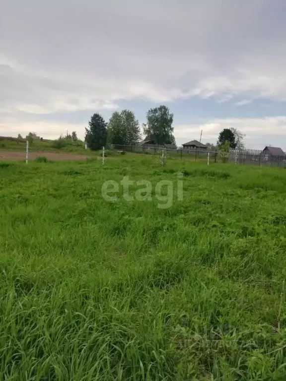 Участок в Пермский край, Березники муниципальный округ, д. Овиново ул. ... - Фото 2