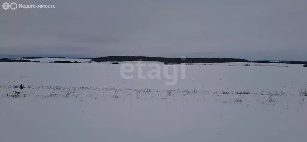 Участок в село Казанбаш, улица Татарстан (85000 м) - Фото 0